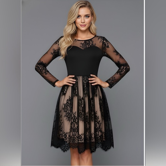 Lace Mesh Sheer Overlay Knee-length Dress Black - Picture 1 of 8